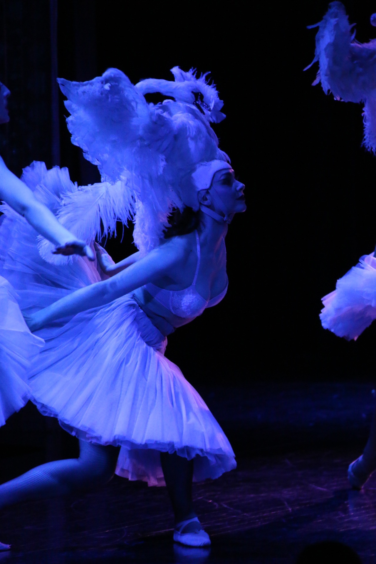 Lido de Paris — Merveilles